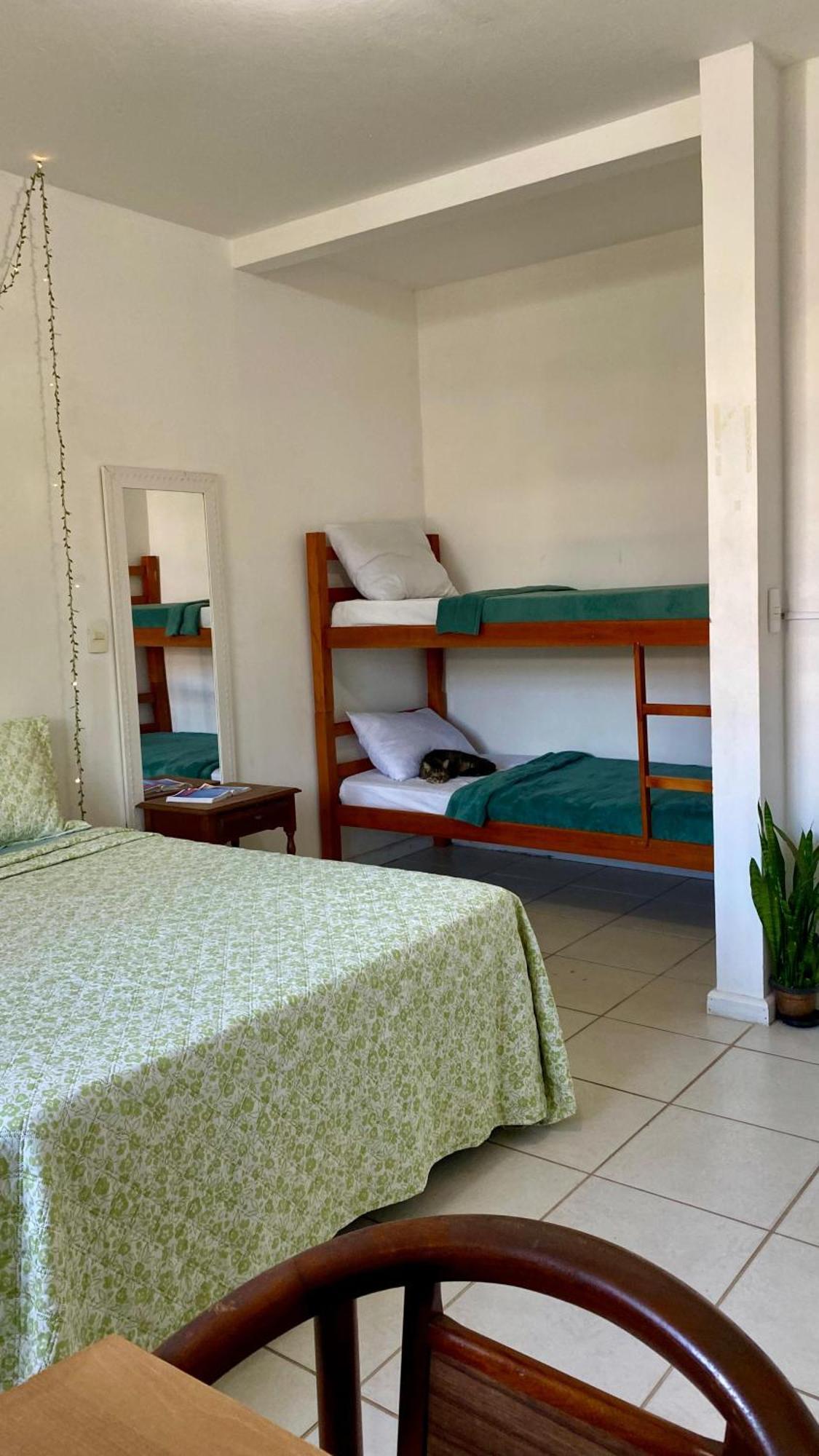 Pequi Hostel Florianópolis Екстериор снимка